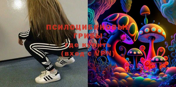 винт Коряжма