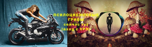бошки Краснослободск