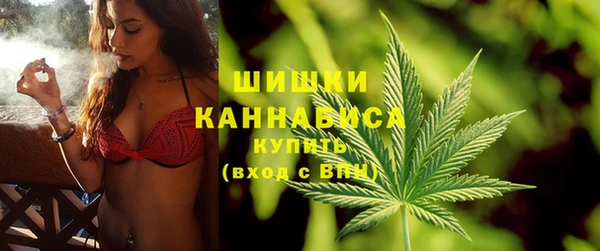 стафф Кулебаки