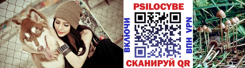 Псилоцибиновые грибы Cubensis  что такое   Буинск 